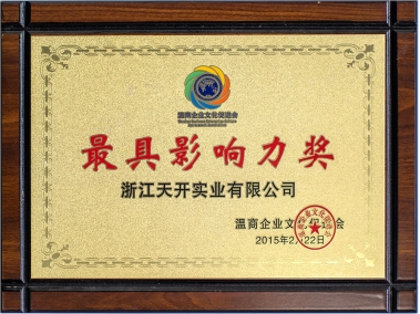 最具影响力奖